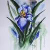 Smyslná kráska mezi květy, akvarel, Josef Pepíno Balek